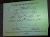 20130214_102323.jpg